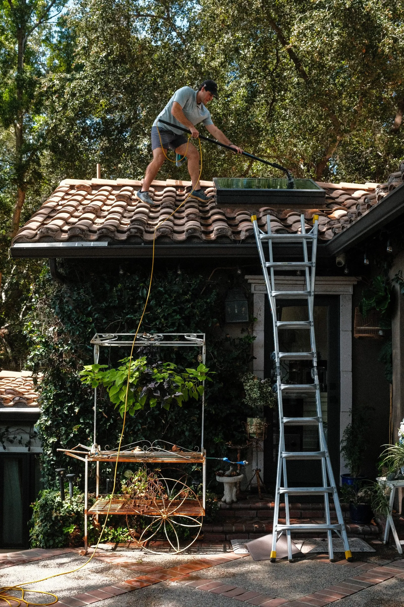 Extension ladder against an ivy wall, technician on the roof at a skylight