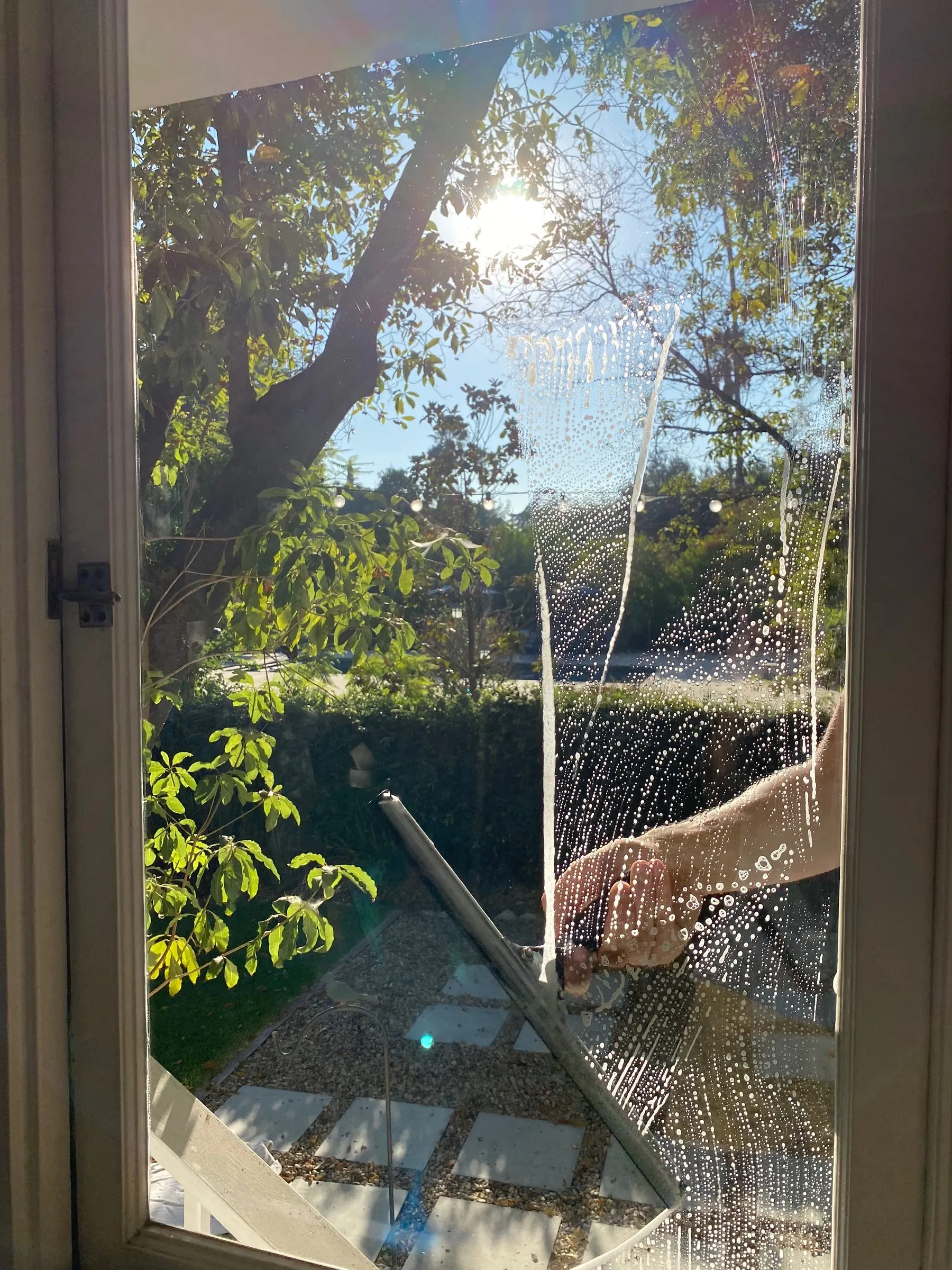 Squeegee mid-stroke on a French door pane in afternoon sun