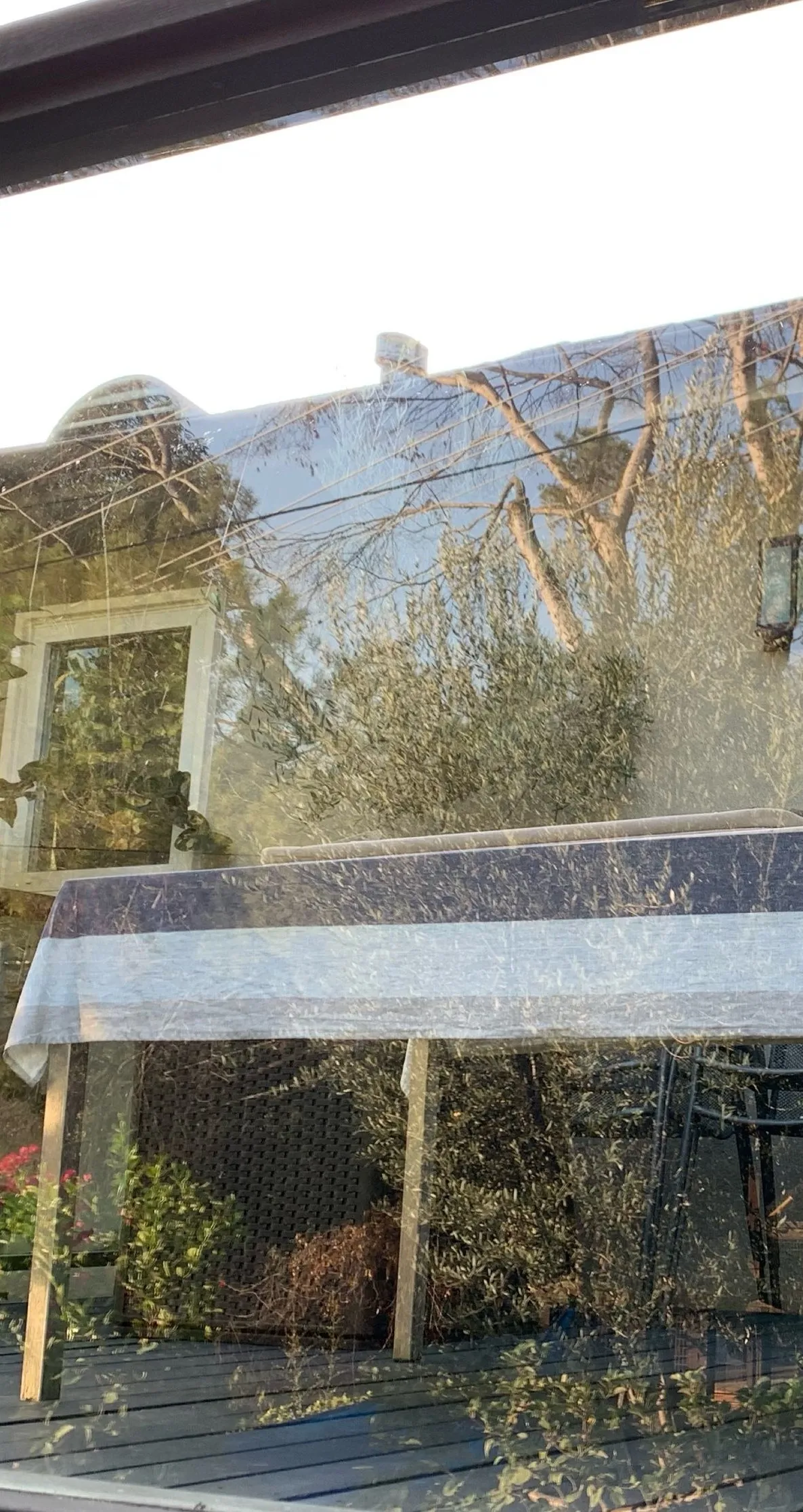 The same window after cleaning, clear glass with the garden reflected in it